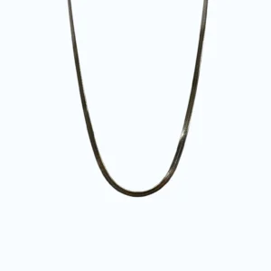 Silver Çelik İnce Balıksırtı Model Erkek Kolye